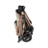 Peg Perego Passeggino Reversibile Vivace Mon Amour