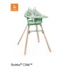 Stokke Clikk Clover Green con cuscino omaggio Blueberry Boat