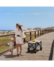 Kinderkraft Carrello da Trasporto Pieghevole ROLLSTER Nero