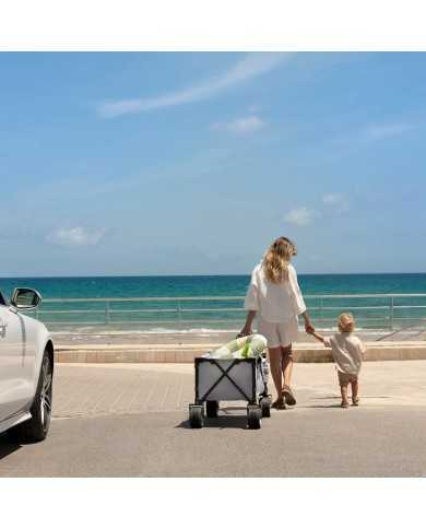 Kinderkraft Carrello da Trasporto Pieghevole ROLLSTER Grigio
