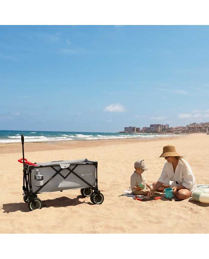 Kinderkraft Carrello da Trasporto Pieghevole ROLLSTER Grigio