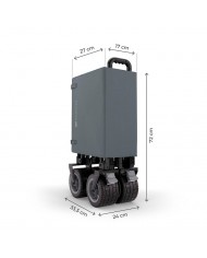 Kinderkraft Carrello da Trasporto Pieghevole ROLLSTER Grigio