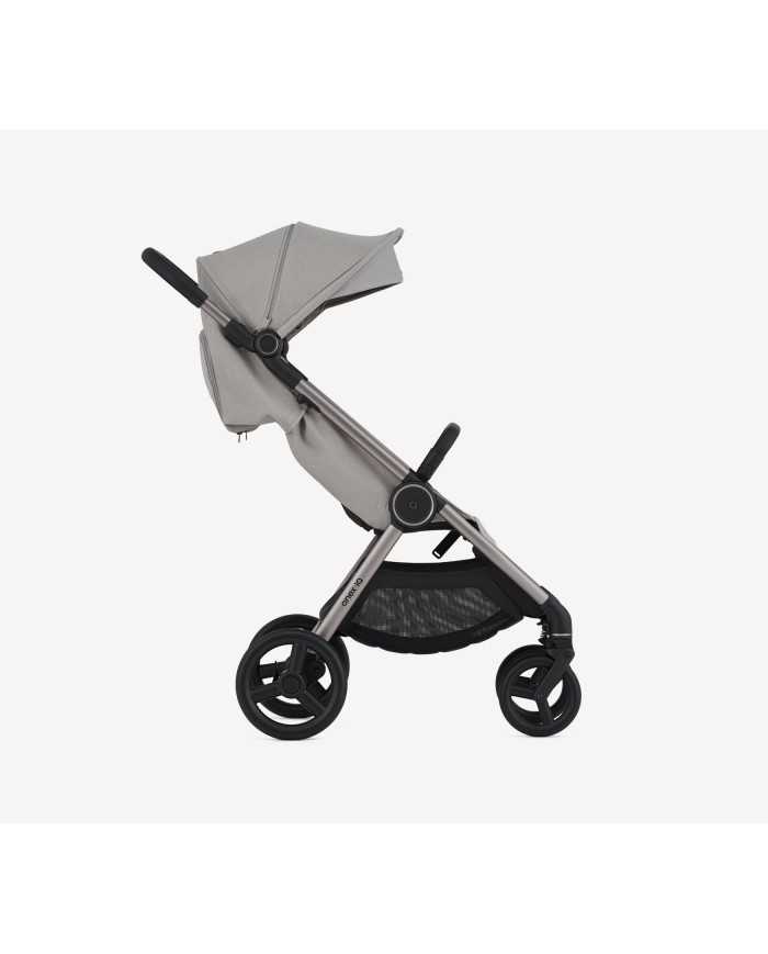 Anex IQ Duo con Buggy Premium Silve