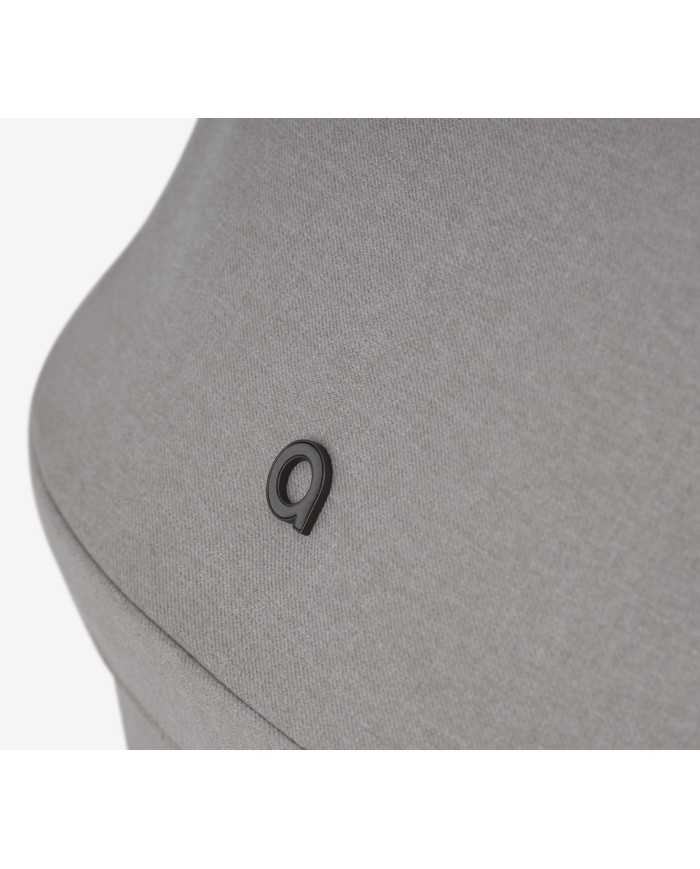 Anex IQ Duo con Buggy Premium Silve