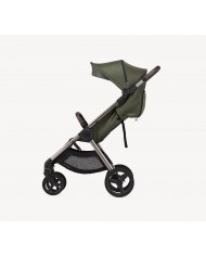 Anex IQ Duo con Buggy Premium Richi