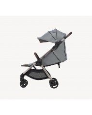 Anex IQ Duo con Buggy Premium Pure