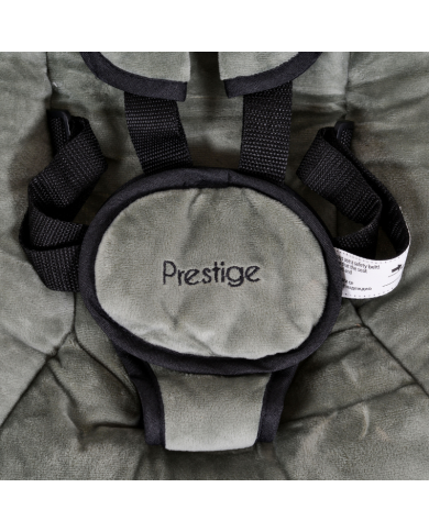 Cangaroo Sdraietta Baby Swing Prestige Green