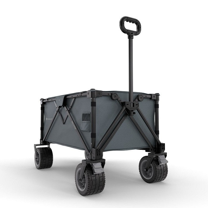 Kinderkraft Carrello da Trasporto Pieghevole ROLLSTER Grigio