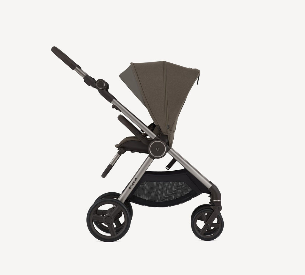 Anex IQ Duo con Buggy Premium Bruna