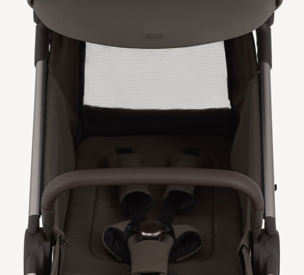 Anex IQ Duo con Buggy Premium Bruna