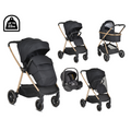 Cangaroo Trio Hydra Black