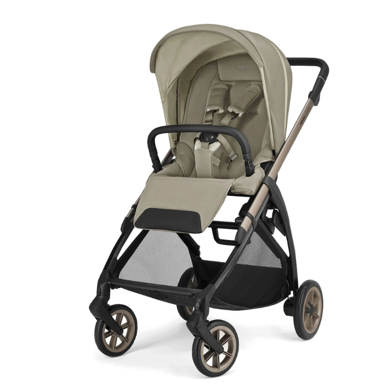 Inglesina Trio Electa Darwin Infant Hangar Beige