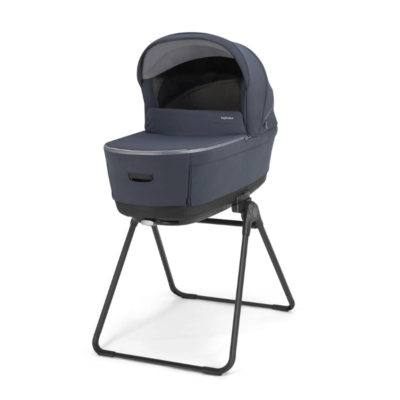 Inglesina Trio Electa Darwin Infant Rooftop Blue
