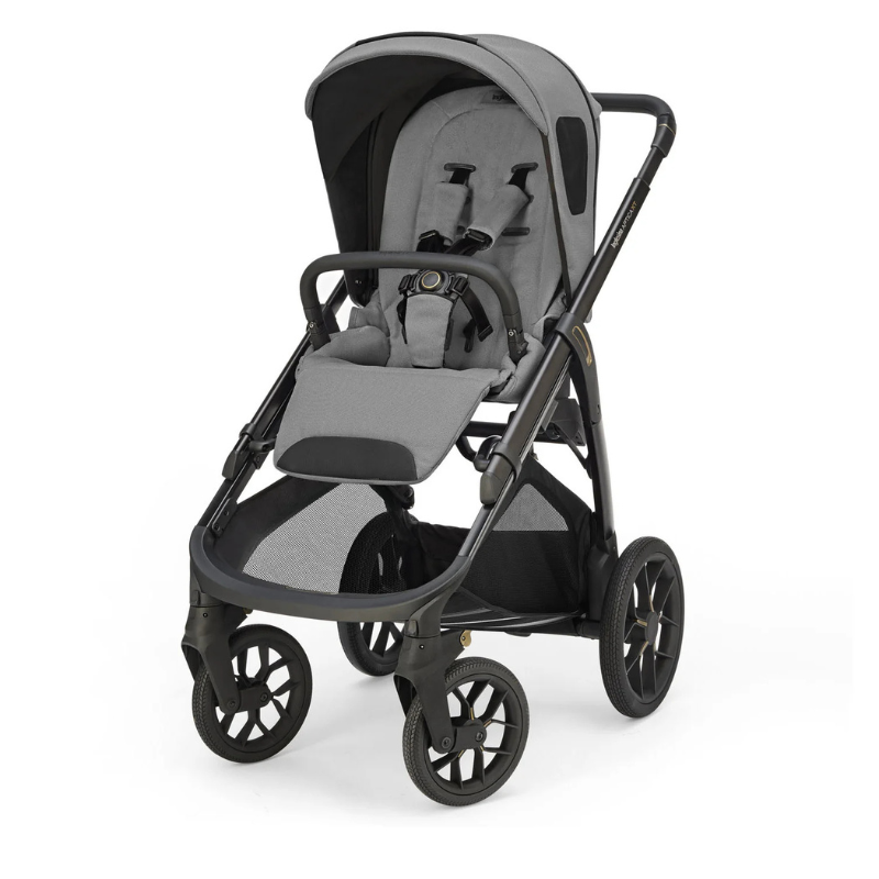 Inglesina Trio Aptica XT Darwin Infant Canyon Grey