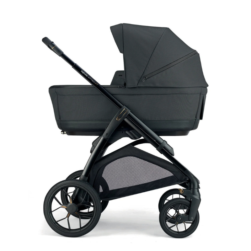 Inglesina Trio Aptica XT Darwin Infant Magnet Grey