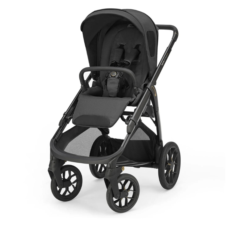 Inglesina Trio Aptica XT Darwin Infant Magnet Grey
