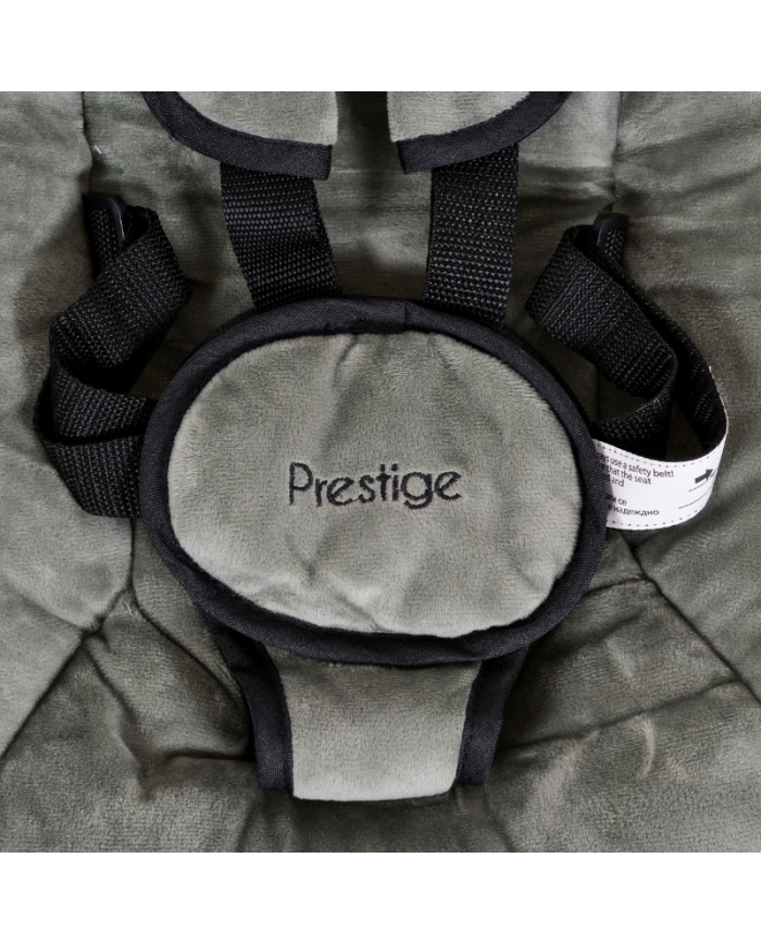 Cangaroo Sdraietta Baby Swing Prestige Green